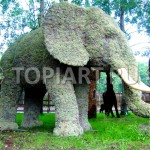 Топиарная скульптура из мха "Слон"