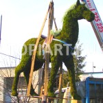 Топиарная фигура из мха "Лошадь" www.topiart.ru