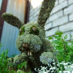 moss topiary