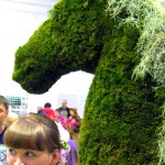 Topiary and moss