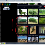 Воровство контента с сайта www.topiart.ru, также украдены фото тигра - художники из Украины, бегемот англичанина Стивена Маннинга